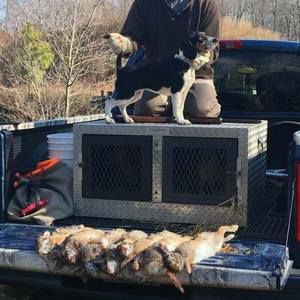 Meet your Posher, Justin